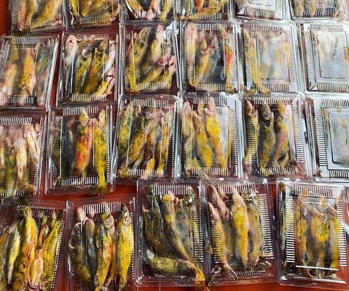 Của hiếm sông Đà: Loài cá vàng óng, muốn ăn phải đặt trước nửa năm - 3