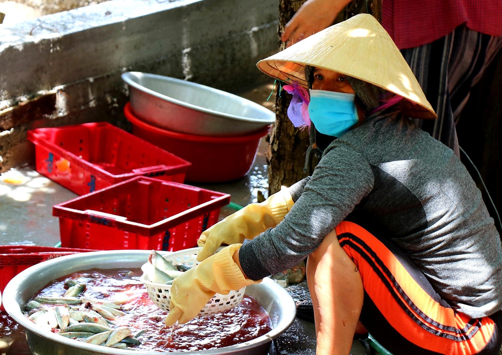 Người dân miền biển Thừa Thiên Huế làm xuyên trưa, chế biến hàng tấn cá gửi vào TP.HCM - 6