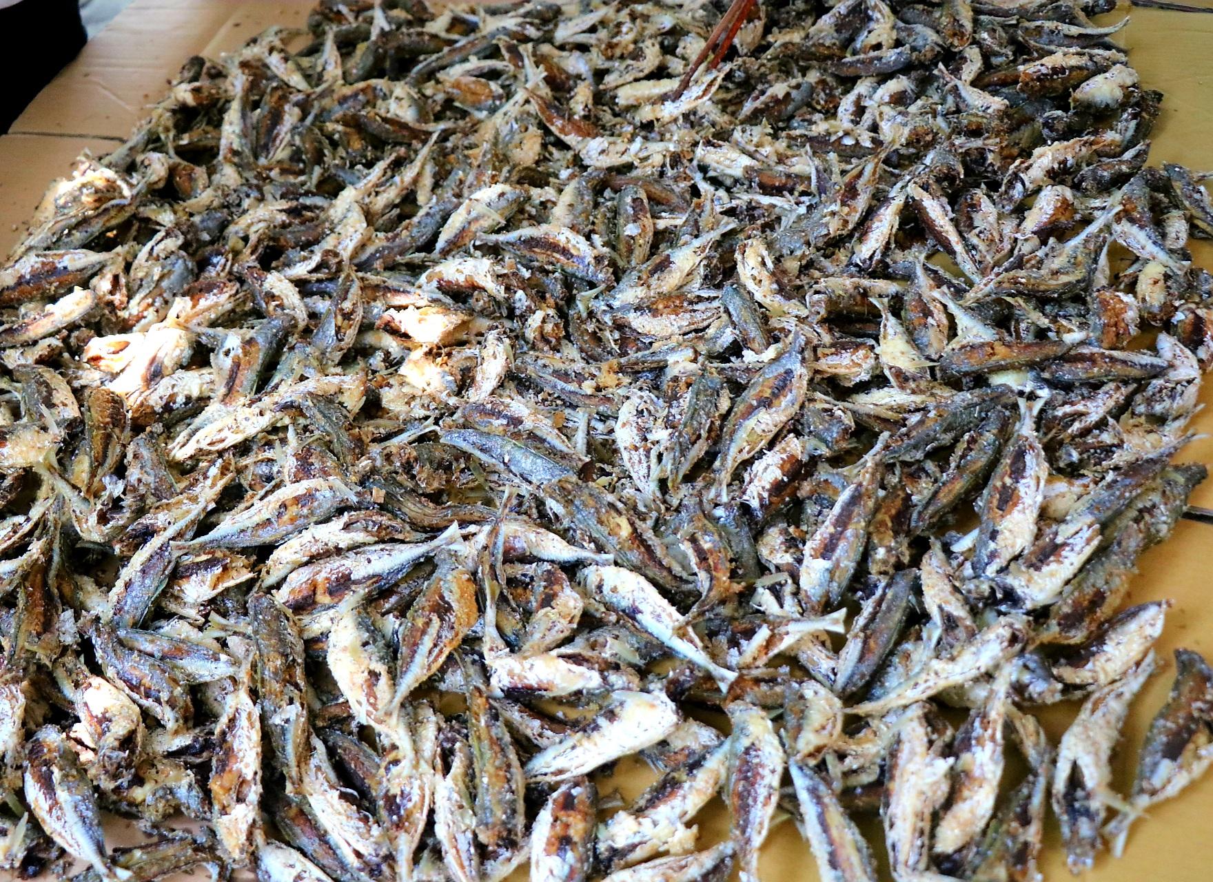 Người dân miền biển Thừa Thiên Huế làm xuyên trưa, chế biến hàng tấn cá gửi vào TP.HCM - 7
