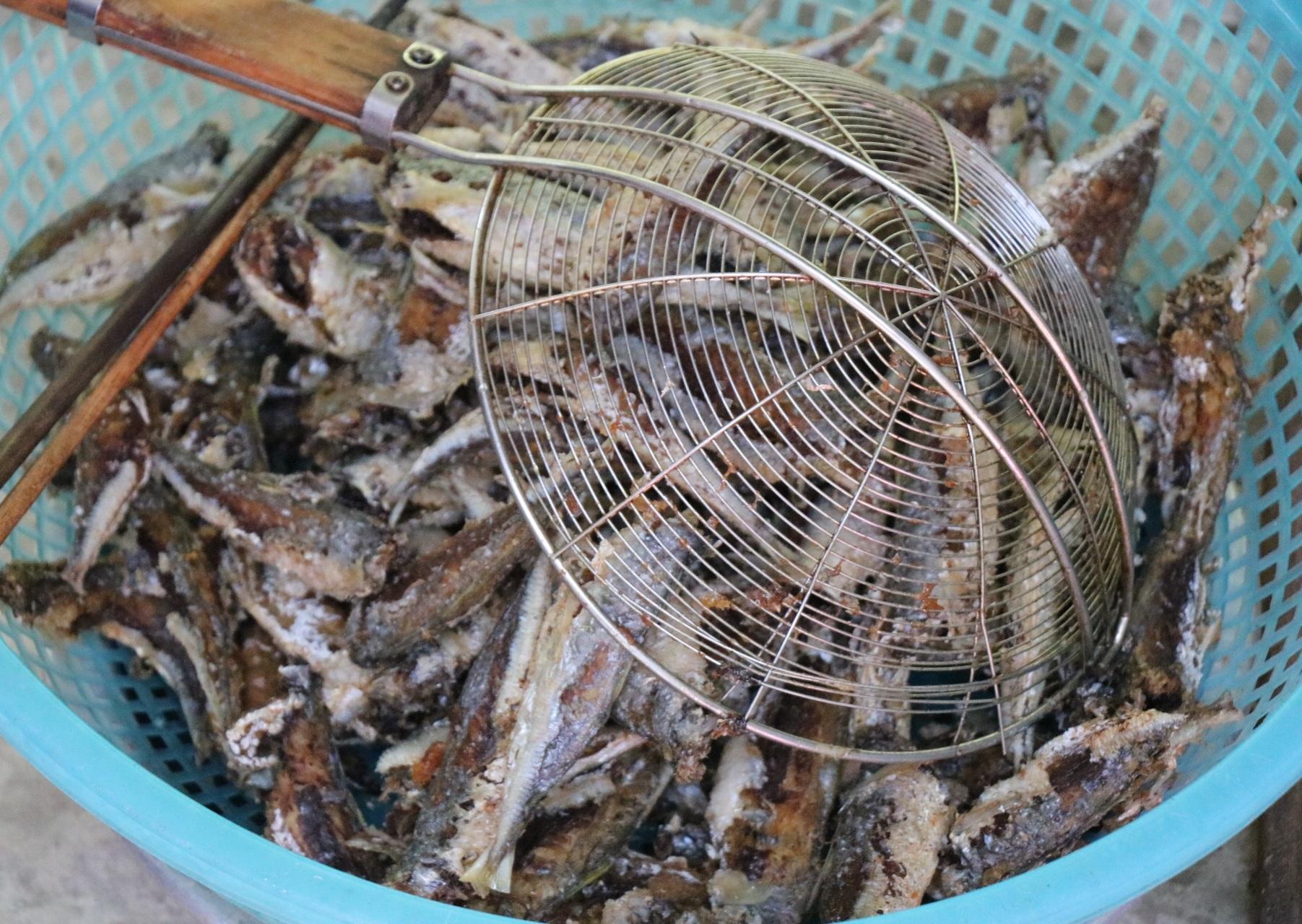 Người dân miền biển Thừa Thiên Huế làm xuyên trưa, chế biến hàng tấn cá gửi vào TP.HCM - 16