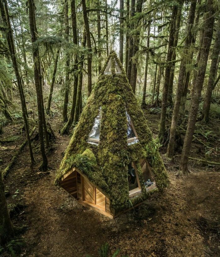 Mê mẩn những căn nhà gỗ nhỏ xinh ẩn mình giữa thiên nhiên - 15