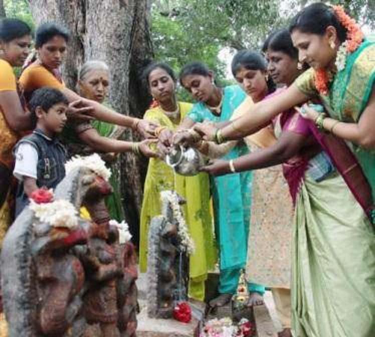 Ấn Độ: Du khách sởn da gà với lễ hội tôn thờ rắn - 2