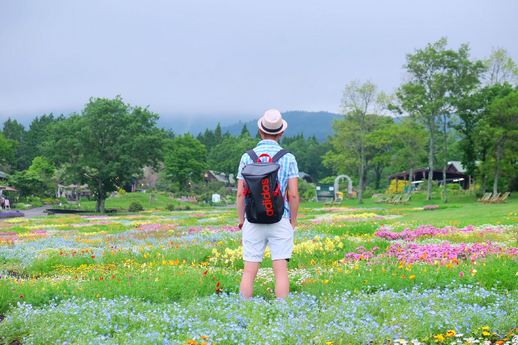 Chàng trai Việt dành 7 năm "du lịch thanh xuân" tới 44 tỉnh của Nhật Bản - 6