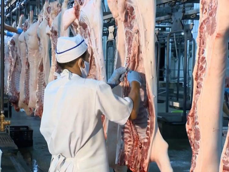 TP.HCM có cung cấp đủ thịt heo khi Vissan giảm hoạt động?