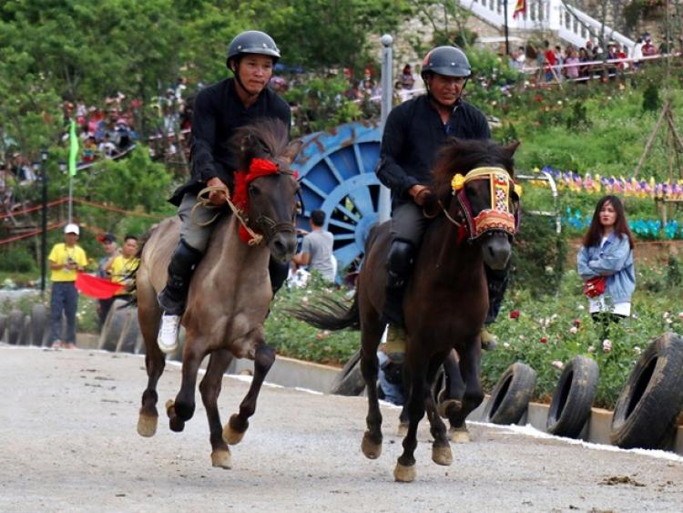 Lễ hội đua ngựa Bắc Hà - nét văn hóa đặc sắc vùng Tây Bắc
