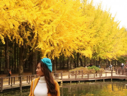 Du khảo - Đến Hàn Quốc ngắm mùa lá vàng đẹp khó cưỡng