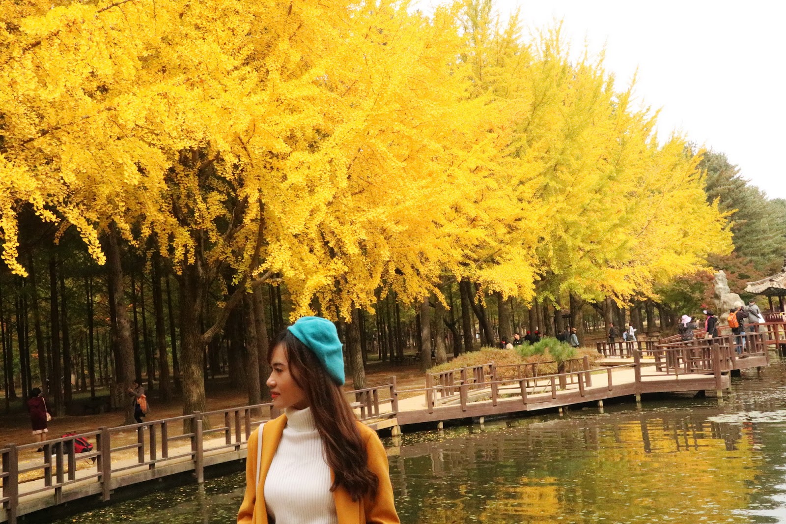 Đến Hàn Quốc ngắm mùa lá vàng đẹp khó cưỡng - 2