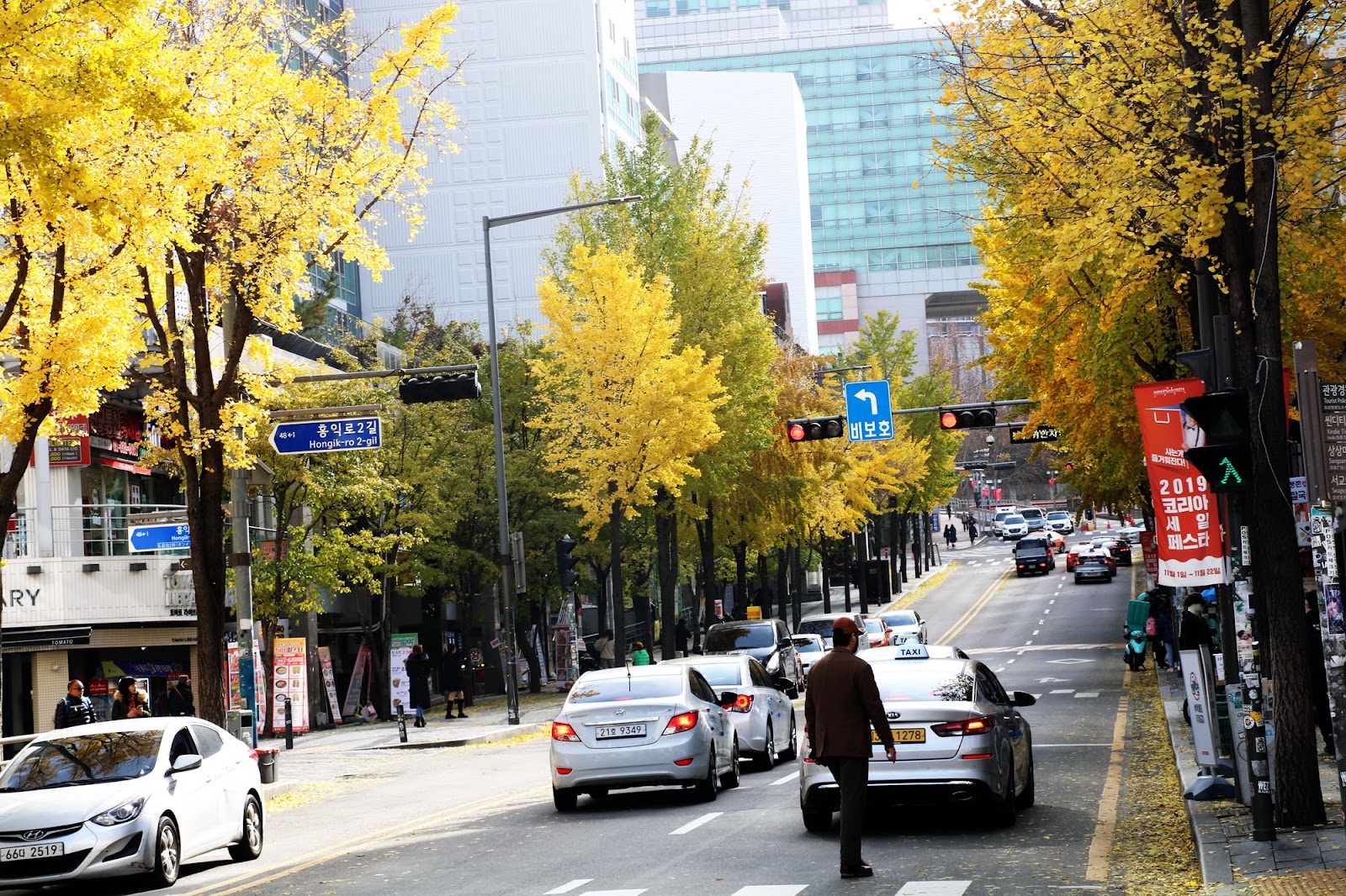 Đến Hàn Quốc ngắm mùa lá vàng đẹp khó cưỡng - 4