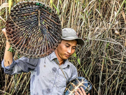 Lễ hội - U Minh Hạ vào mùa đặt lọp bắt cá, rùa, rắn...