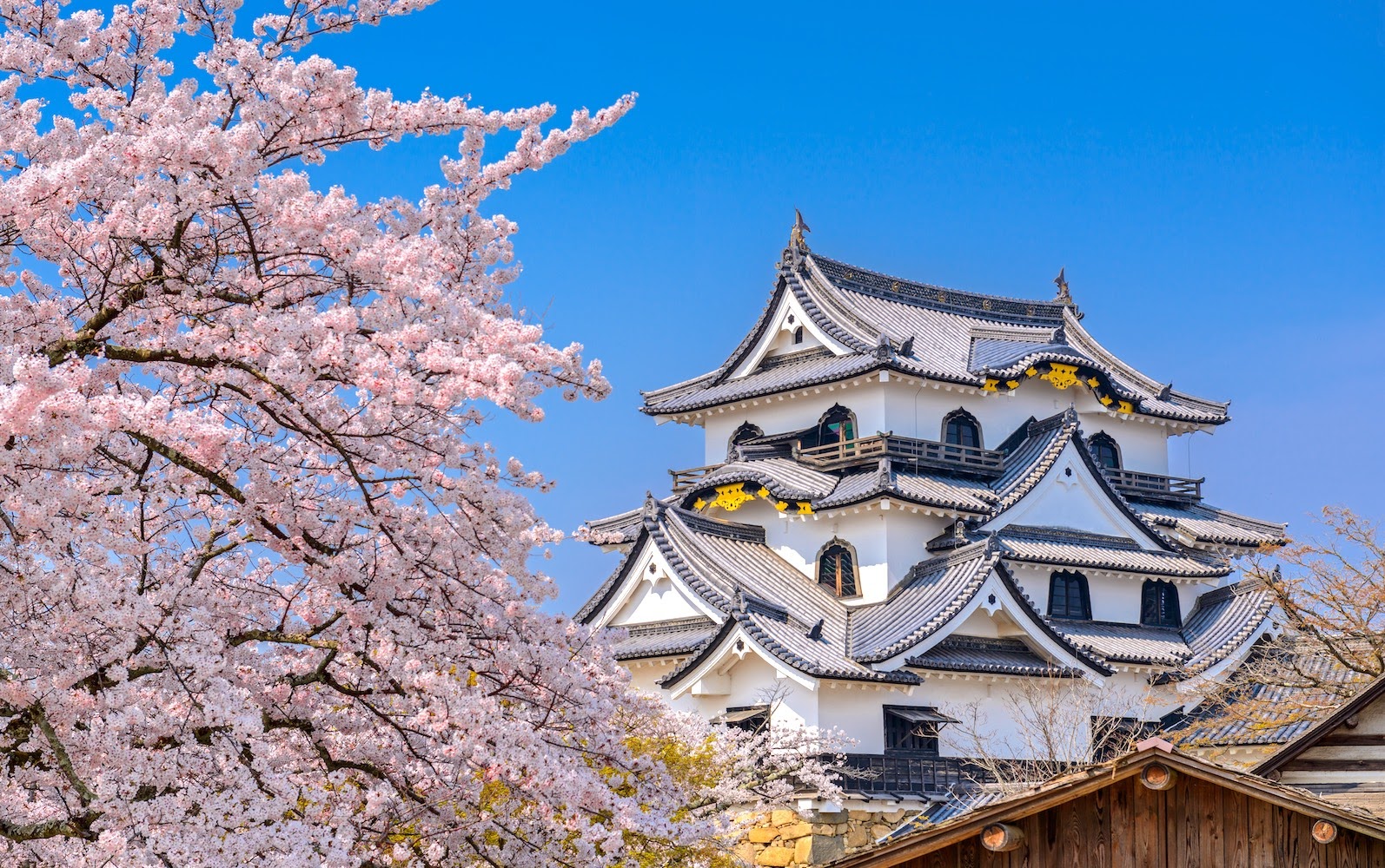 10 tuyệt đỉnh lâu đài không thể bỏ qua ở Nhật Bản - 7