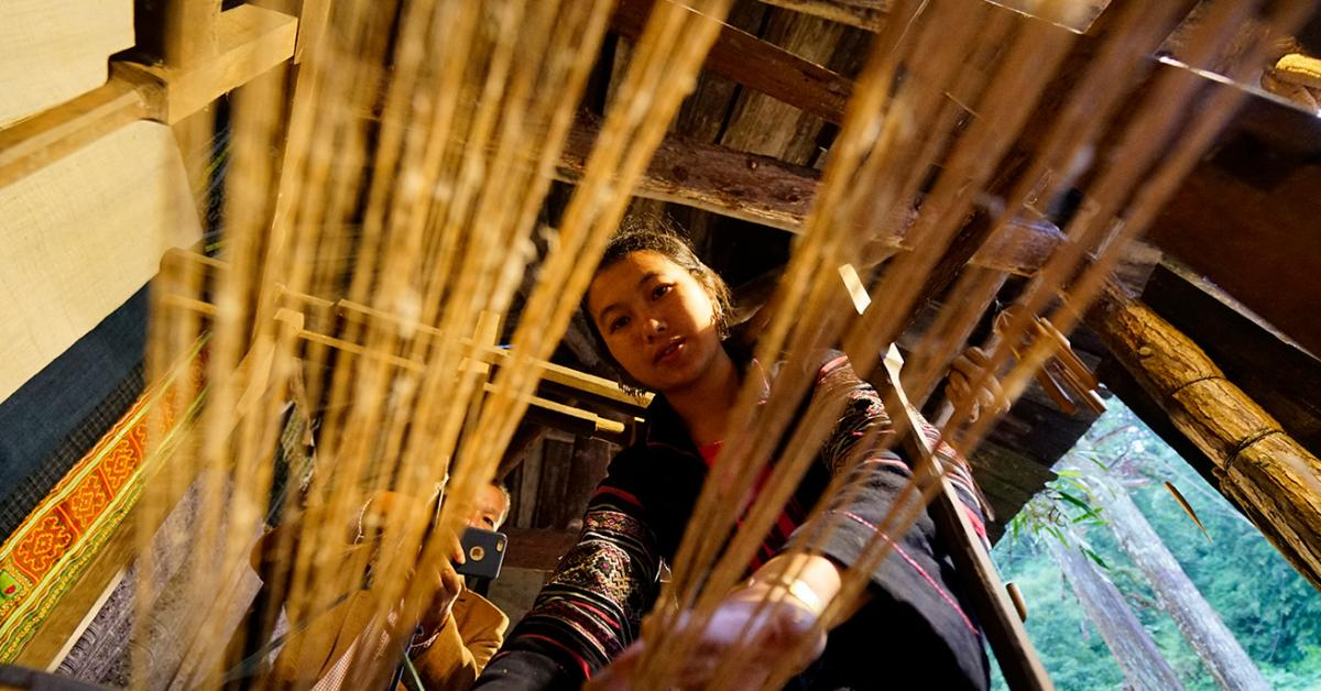 Người Mông Sa Pa vào mùa thu hoạch cây lanh, dệt vải