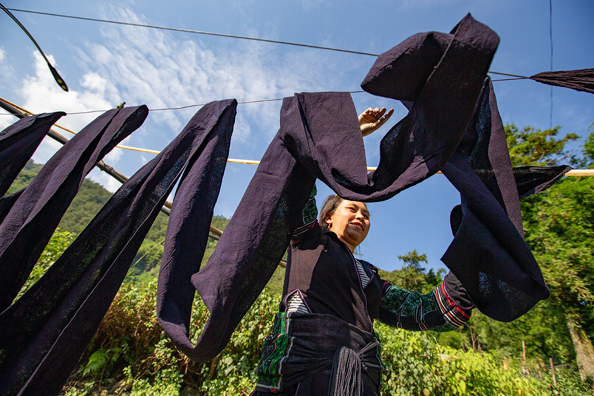 Người Mông Sa Pa vào mùa thu hoạch cây lanh, dệt vải - 8