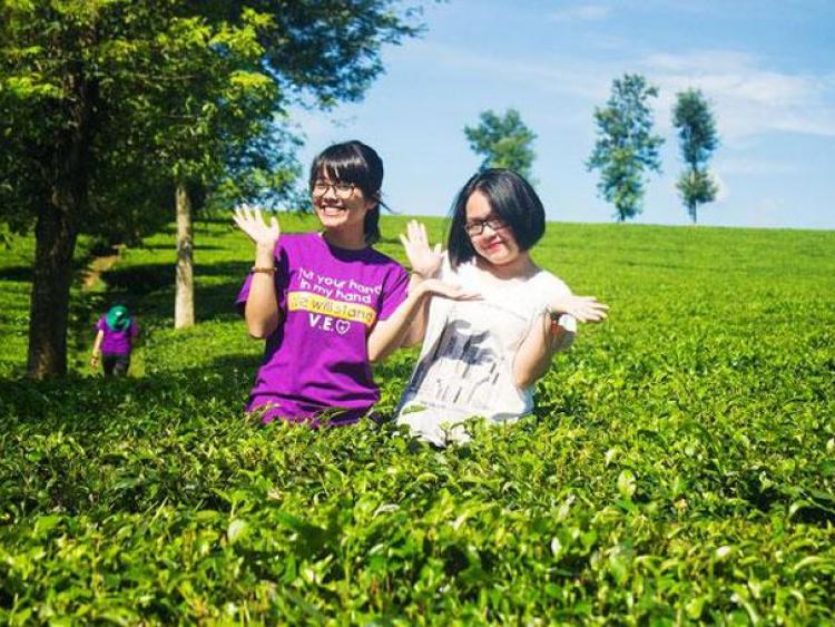 ''Đánh thức'' tiềm năng du lịch nông nghiệp: Cần một ''cú hích''