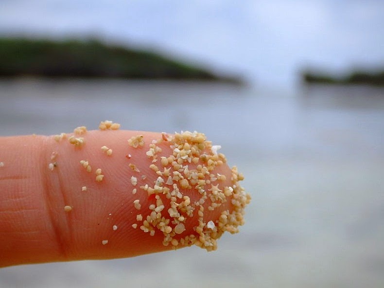 Bãi biển Nhật Bản có hạt cát hình ngôi sao trắng đẹp như truyện cổ tích - 1