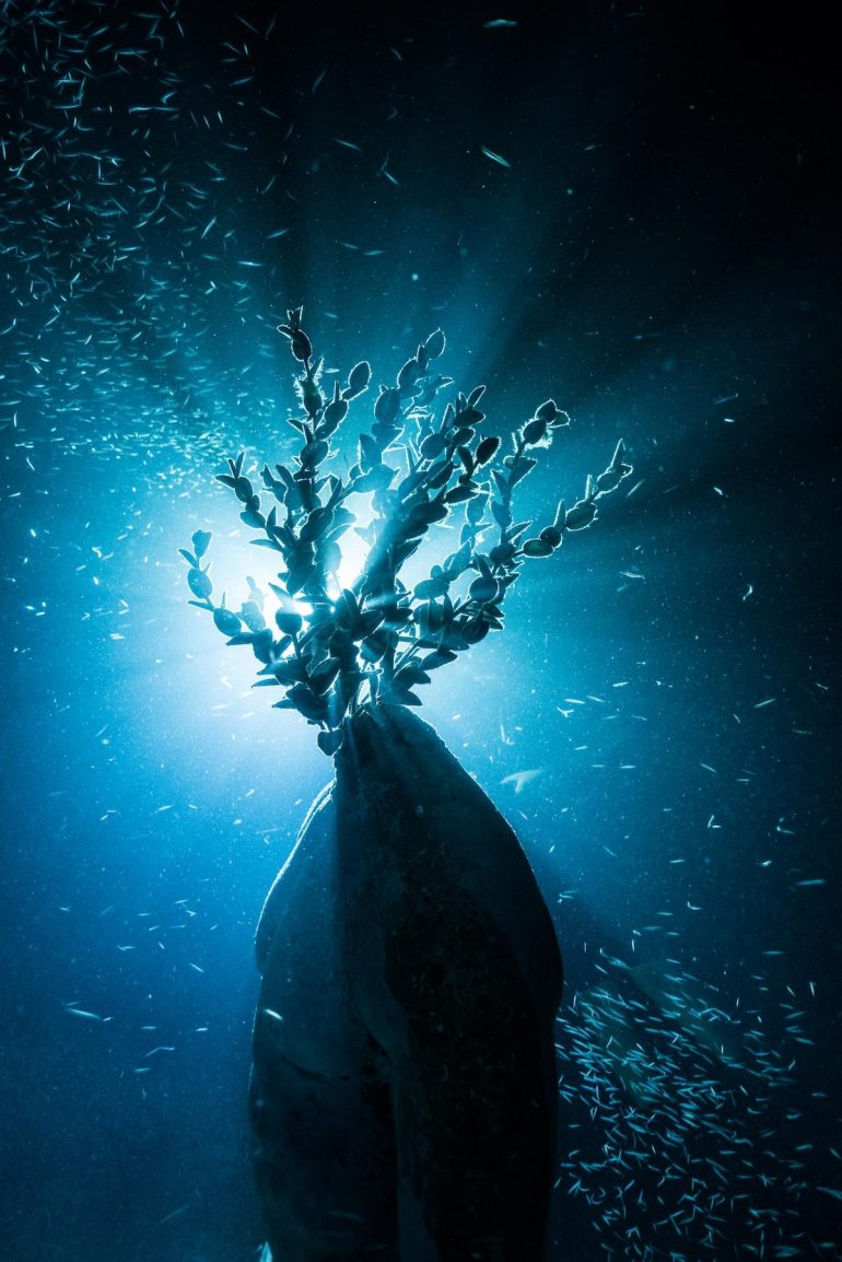 "Lạc trôi" với vẻ đẹp kỳ ảo của bảo tàng dưới đáy biển - 8