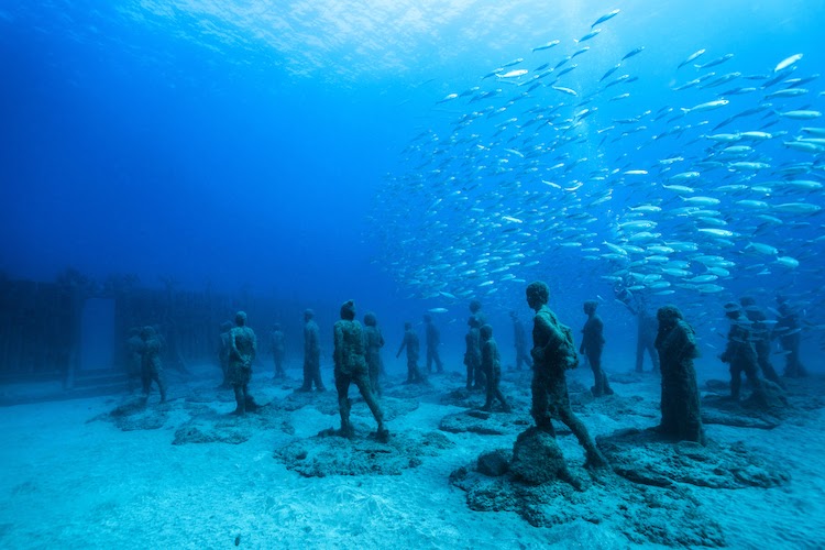 Thử biến thành người cá tại bảo tàng dưới nước đầu tiên ở Địa Trung Hải - 16