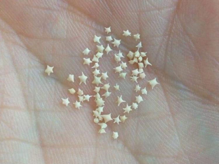 Bãi biển Nhật Bản có hạt cát hình ngôi sao trắng đẹp như truyện cổ tích