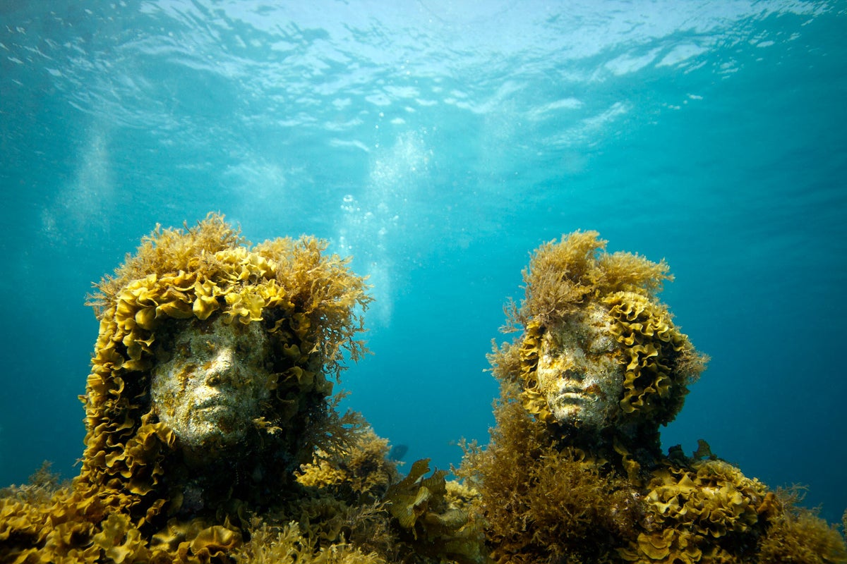 "Lạc trôi" với vẻ đẹp kỳ ảo của bảo tàng dưới đáy biển - 2