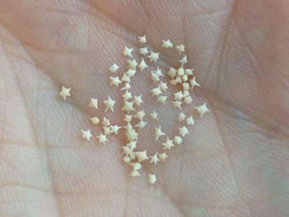 Du khảo - Bãi biển Nhật Bản có hạt cát hình ngôi sao trắng đẹp như truyện cổ tích