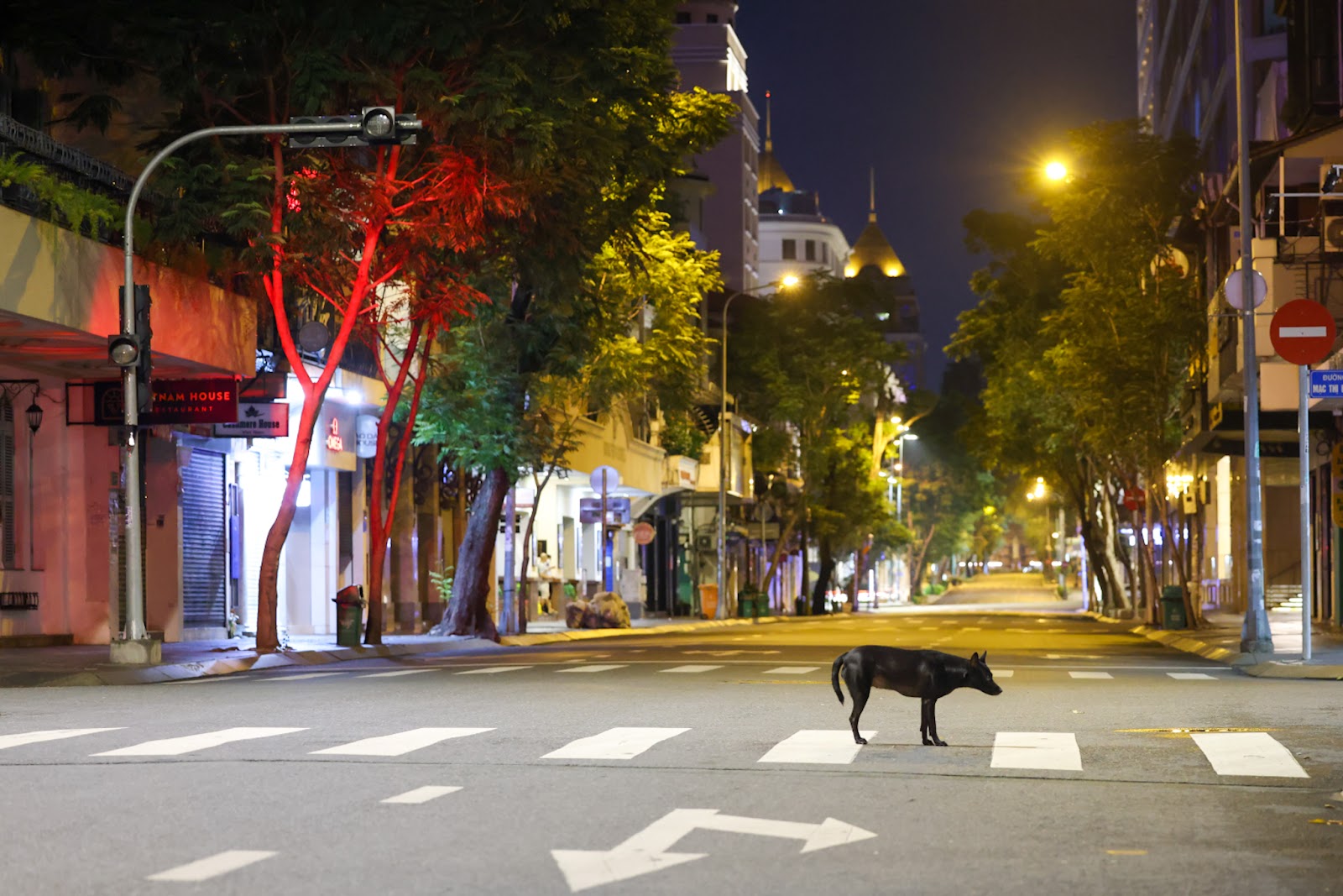 “Bổ túc” đường phố Sài Gòn lúc lên đèn dành cho người ở nhà lâu quá - 1