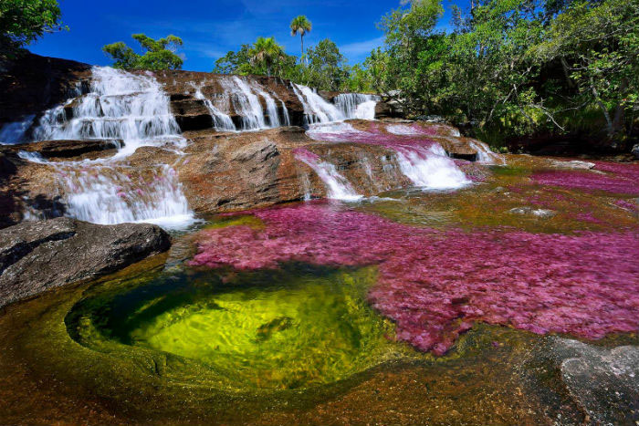 Dòng sông ngũ sắc tuyệt đẹp như tranh vẽ trong vườn quốc gia Colombia - 2