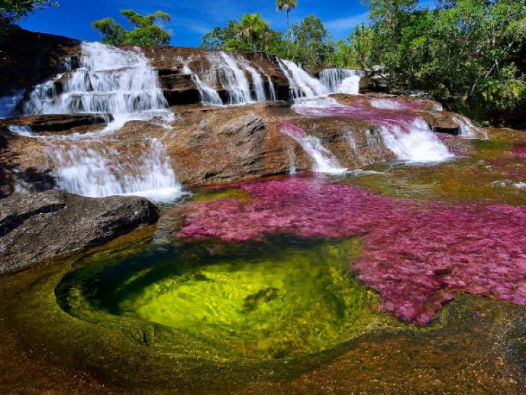 Dòng sông ngũ sắc tuyệt đẹp như tranh vẽ trong vườn quốc gia Colombia