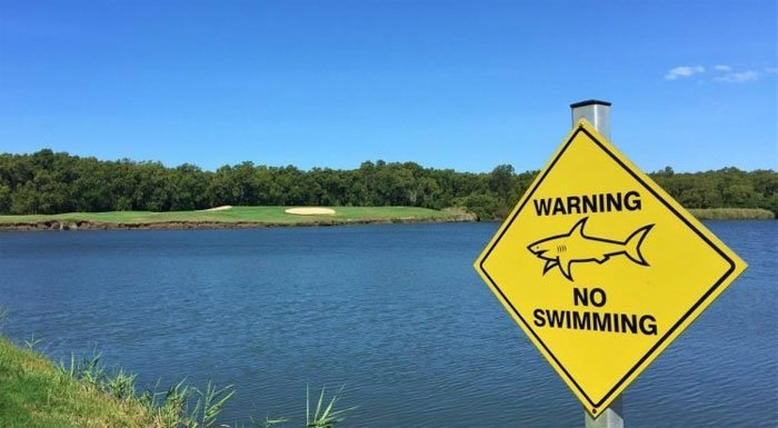 Trải nghiệm sân golf duy nhất có hồ cá mập hung tợn nguy hiểm nhất thế giới - 1