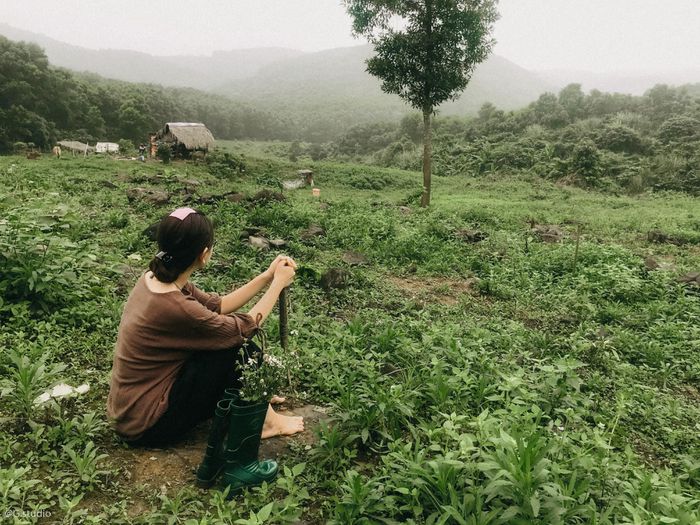 Cặp đôi bỏ phố về ngọn đồi không điện lưới, dựng 'Đà Lạt thu nhỏ' đẹp mê hồn - 9