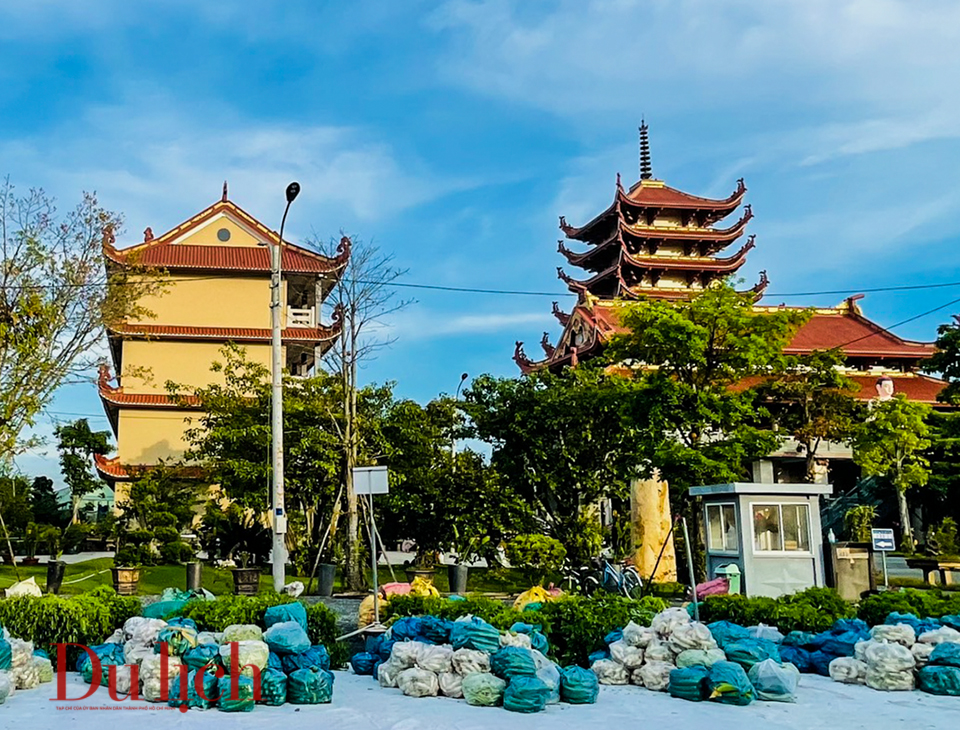 Hàng tấn gạo và rau xanh trao tặng người dân huyện Bình Chánh - 2