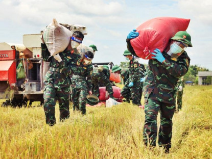 Chuyển động - Bộ đội xuống ruộng vác lúa giúp người dân giữa mùa dịch