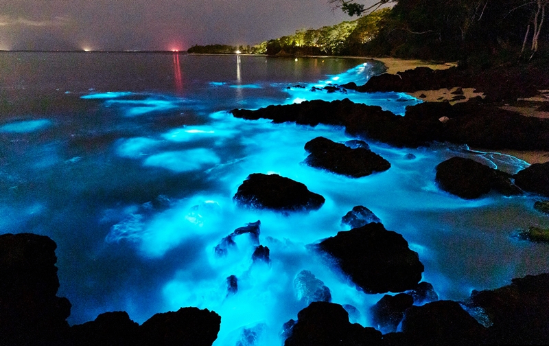 Bãi biển kỳ diệu phát ra ánh sáng xanh vào ban đêm ở Australia - 1