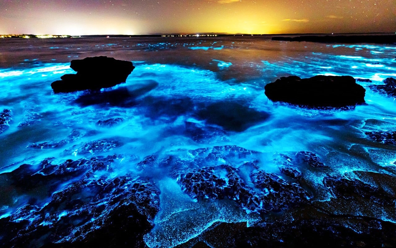 Bãi biển kỳ diệu phát ra ánh sáng xanh vào ban đêm ở Australia - 2