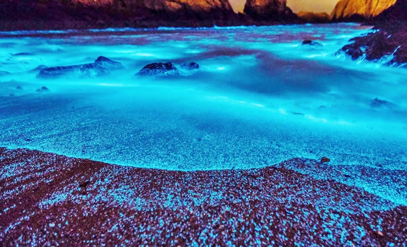 Bãi biển kỳ diệu phát ra ánh sáng xanh vào ban đêm ở Australia - 4