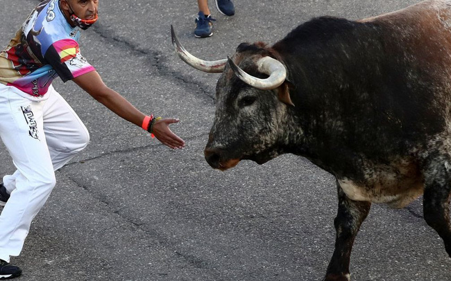 Lễ hội chạy đua bò tót lần đầu quay lại sau đại dịch ở Tây Ban Nha - 1