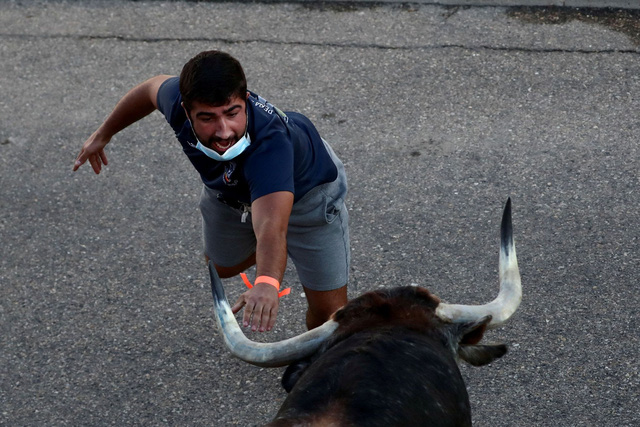 Lễ hội chạy đua bò tót lần đầu quay lại sau đại dịch ở Tây Ban Nha - 2