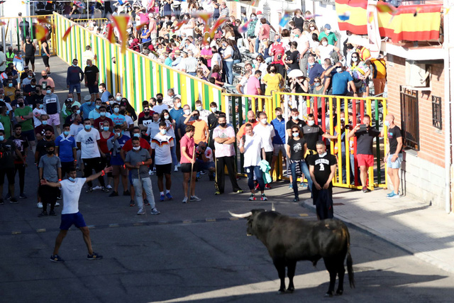 Lễ hội chạy đua bò tót lần đầu quay lại sau đại dịch ở Tây Ban Nha - 3