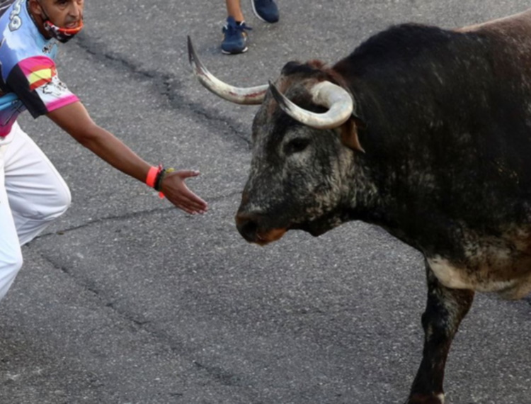 Lễ hội chạy đua bò tót lần đầu quay lại sau đại dịch ở Tây Ban Nha
