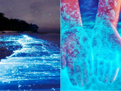 Du khảo - Bãi biển kỳ diệu phát ra ánh sáng xanh vào ban đêm ở Australia