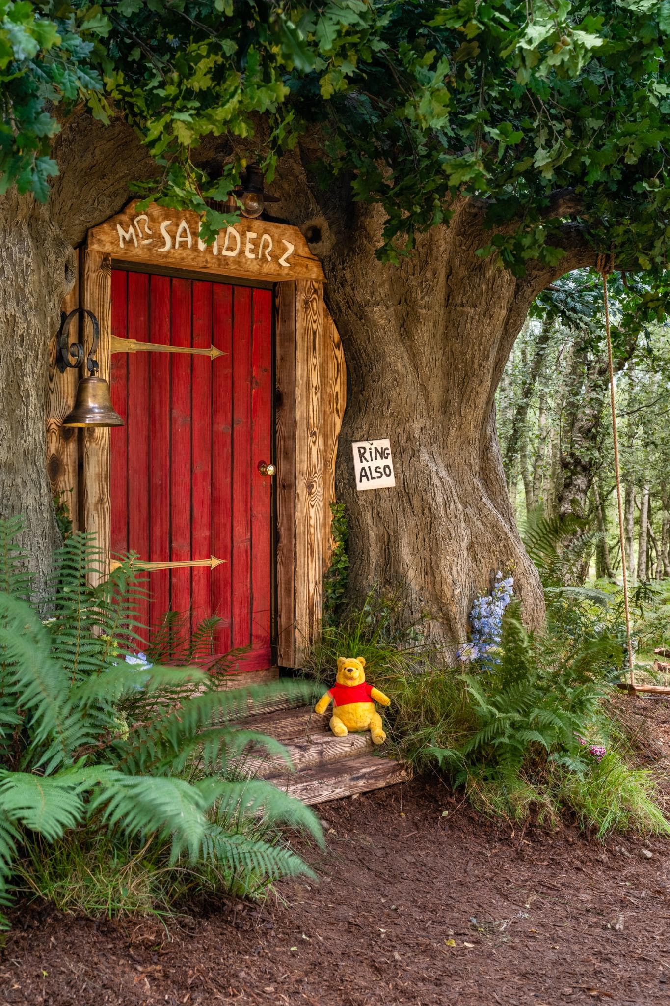 Fan gấu Pooh “tới công chuyện” với phòng trọ giữa rừng cực lãng mạn - 8