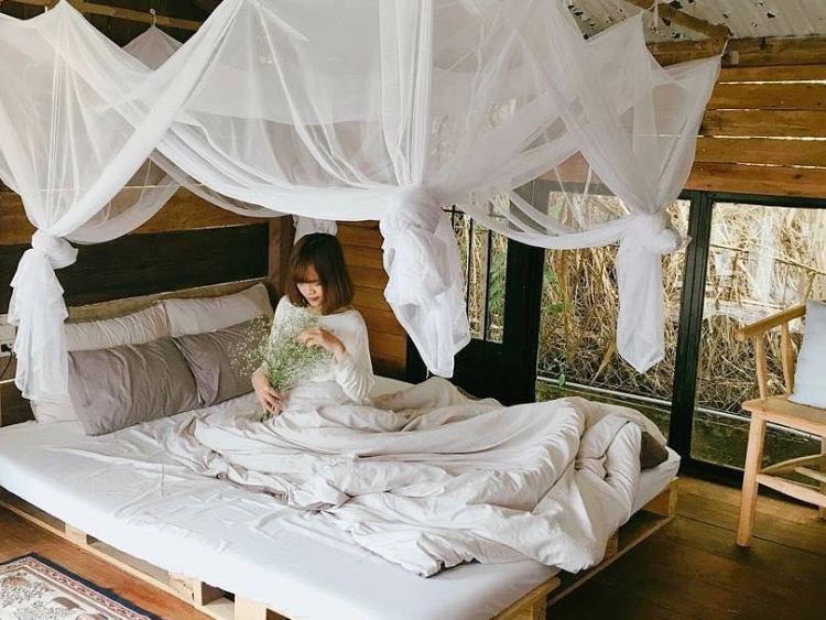 5 homestay Đà Lạt có thiết kế đẹp 'Hội Nghiện Nhà' nên biết