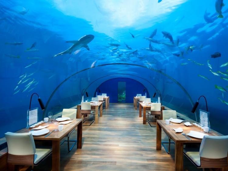 Ăn tối dưới đại dương và những trải nghiệm độc đáo chỉ có khi du lịch Maldives