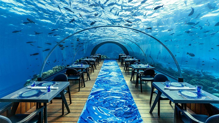Ăn tối dưới đại dương và những trải nghiệm độc đáo chỉ có khi du lịch Maldives - 1
