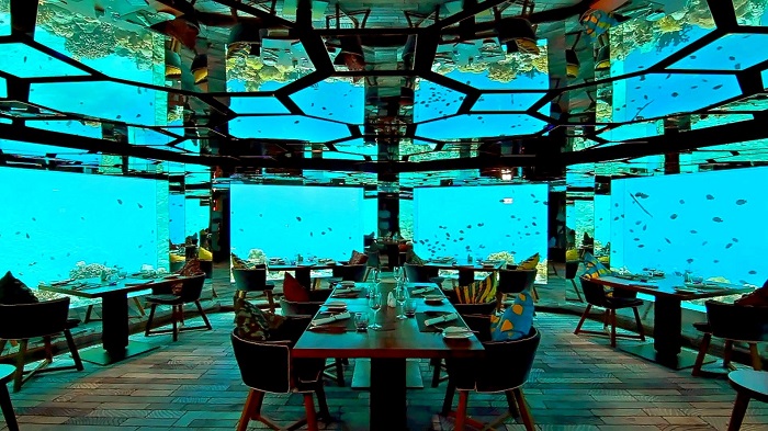 Ăn tối dưới đại dương và những trải nghiệm độc đáo chỉ có khi du lịch Maldives - 6
