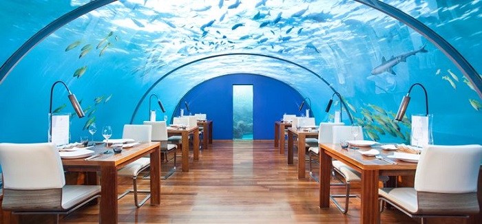 Ăn tối dưới đại dương và những trải nghiệm độc đáo chỉ có khi du lịch Maldives - 7