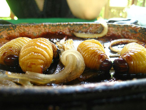 Những món ăn nổi tiếng từ côn trùng ở Việt Nam - 4