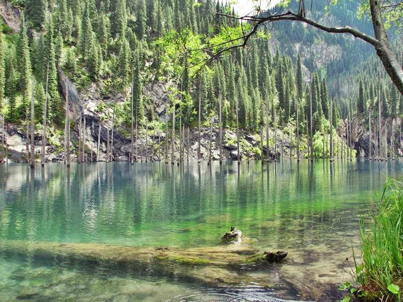 Hồ nước siêu ảo mọc rừng cây "nhọn hoắt" ngược từ dưới nước - 2