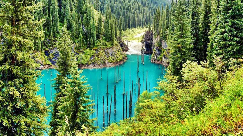 Hồ nước siêu ảo mọc rừng cây "nhọn hoắt" ngược từ dưới nước - 3