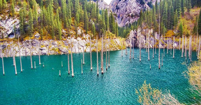 Hồ nước siêu ảo mọc rừng cây "nhọn hoắt" ngược từ dưới nước - 4