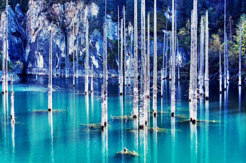 Hồ nước siêu ảo mọc rừng cây "nhọn hoắt" ngược từ dưới nước - 6
