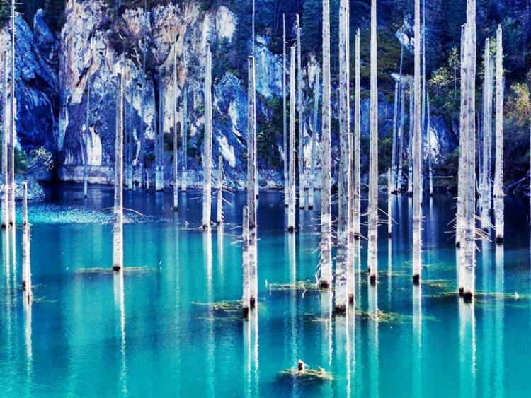 Hồ nước siêu ảo mọc rừng cây “nhọn hoắt“ ngược từ dưới nước